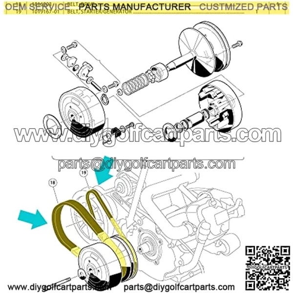 Clutch Drive Belt & Starter Generator Belt Kit for Club Car DS 1997-up, Club Car Precedent 2004-up Gas Golf Cart, Replace OEM 101916701 1016203 - Image 2