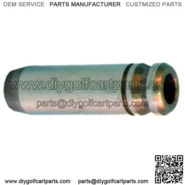 Club Car DS and Precedent 1992-Up Valve Guide